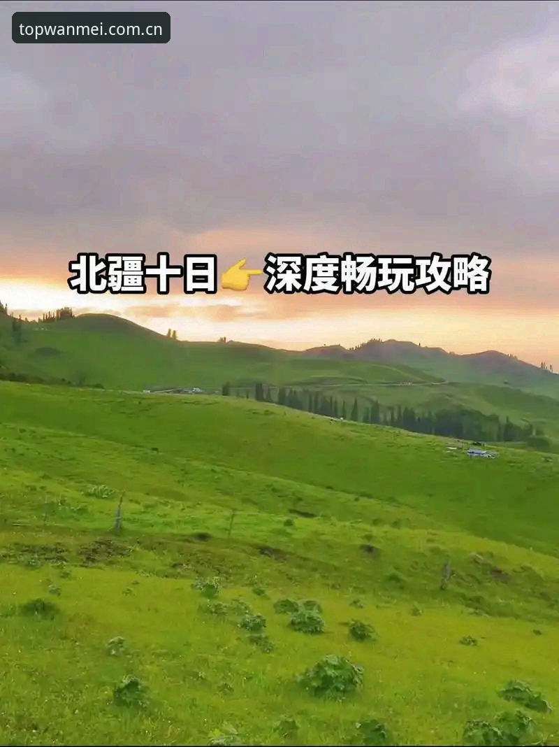 完美体育直接访问安装教程深度评测：从入口到畅玩的完整路径解析